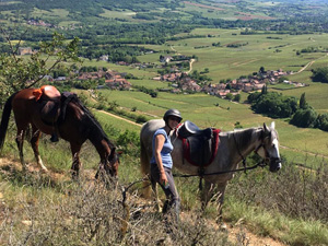 randonnée à cheval France Alsace photo 5