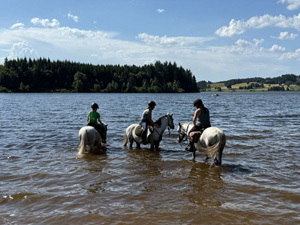 randonnée à cheval france auvergne-rhône-alpes les hauts-plateaux d'ardèche