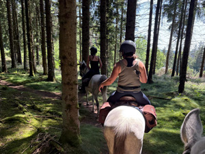 randonnée à cheval France Auvergne-Rhône-Alpes photo 3