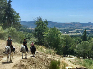 randonnée à cheval France Auvergne-Rhône-Alpes photo 4