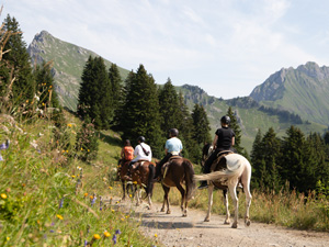 randonnée à cheval France Auvergne-Rhône-Alpes photo 2