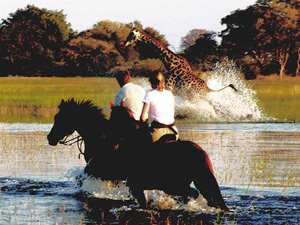 randonnée à cheval botswana okavango au coeur de la savane