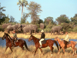 randonnée à cheval Botswana Okavango photo 5
