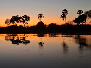 randonnée à cheval Botswana Okavango photo 6