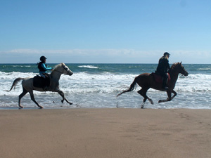 randonnée à cheval Espagne Catalogne photo 2