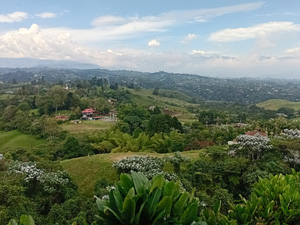 randonnée à cheval Colombie Risaralda photo 3