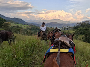 randonnée à cheval Colombie Risaralda photo 5