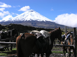 randonnée à cheval Equateur Cotopaxi photo 3