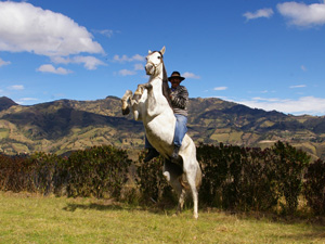 randonnée à cheval Equateur Cotopaxi photo 5