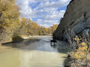 randonnée à cheval Géorgie Kakhétie photo 2