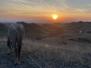 randonnée à cheval Géorgie Kakhétie photo 4