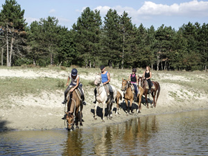 randonnée à cheval Hongrie Csongrad photo 5