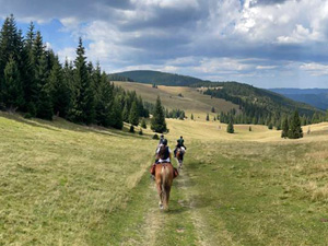 randonnée à cheval Hongrie Csongrad photo 1