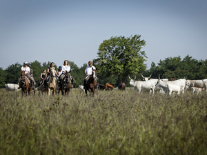 randonnée à cheval Hongrie Csongrad photo 2