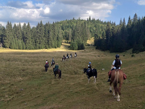 randonnée à cheval Hongrie Csongrad photo 4