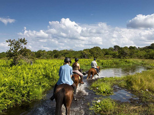 randonnée à cheval Mozambique Inhambane photo 2