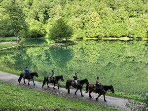 randonnée à cheval France Occitanie photo 4