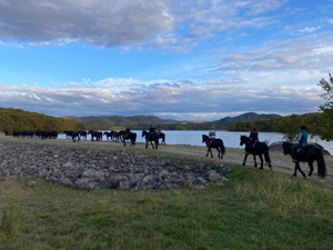 randonnée à cheval France Occitanie photo 1
