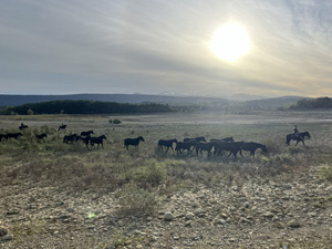randonnée à cheval France Occitanie photo 4