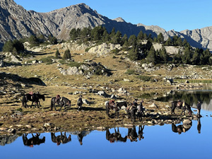 randonnée à cheval France Occitanie photo 2