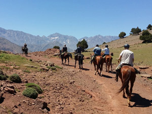 randonnée à cheval Maroc Haut-Atlas photo 3