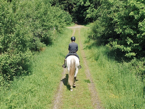 randonnée à cheval France Normandie photo 4