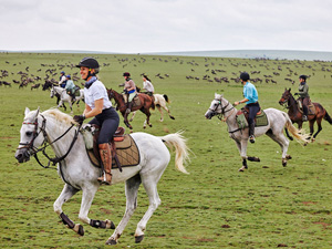 randonnée à cheval Tanzanie Serengeti photo 1