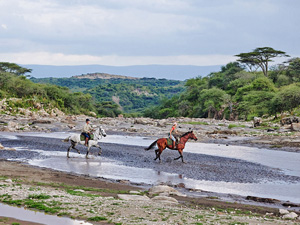 randonnée à cheval Tanzanie Serengeti photo 3