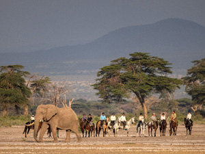 randonnée à cheval tanzanie serengeti les eléphants du kilimanjaro