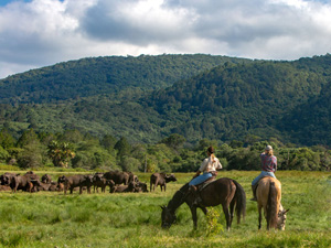 randonnée à cheval Tanzanie Serengeti photo 3