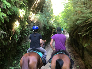 randonnée à cheval Italie Toscane photo 4